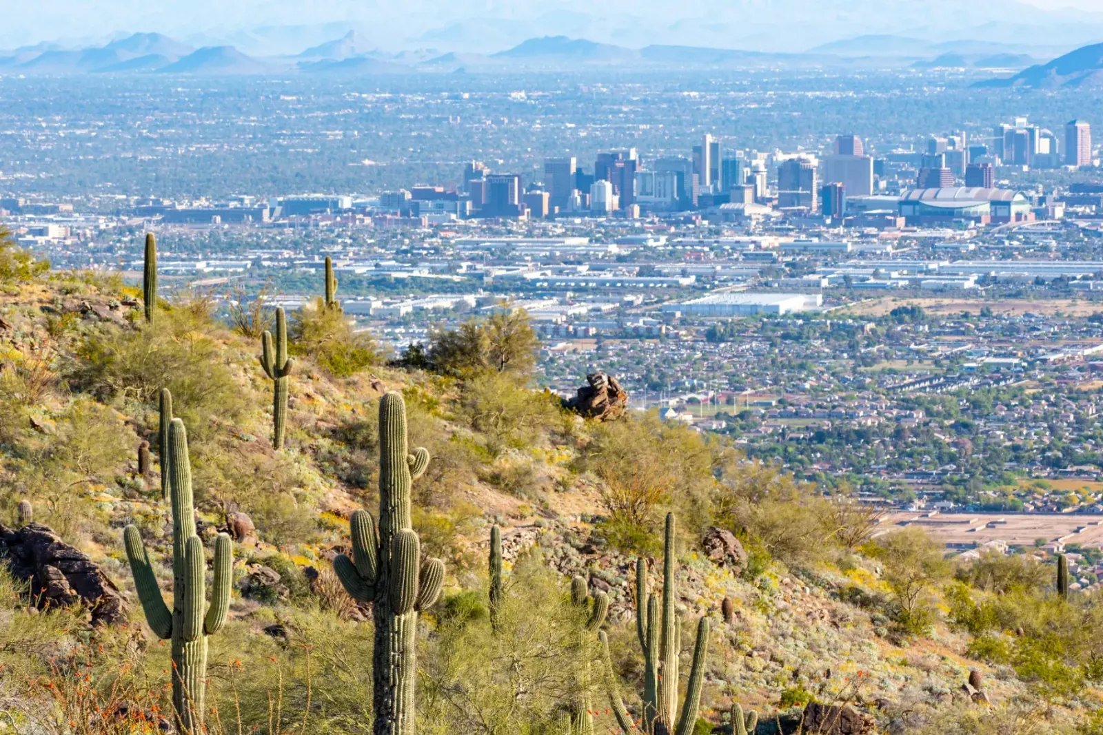 Phoenix skyline viewed from the desert foothills